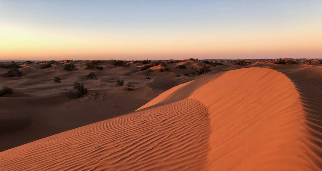 Régime Mère-Fille et Titres de Participation - Le guide pour optimiser votre Holding (1)