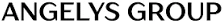 Logo Angelys Group