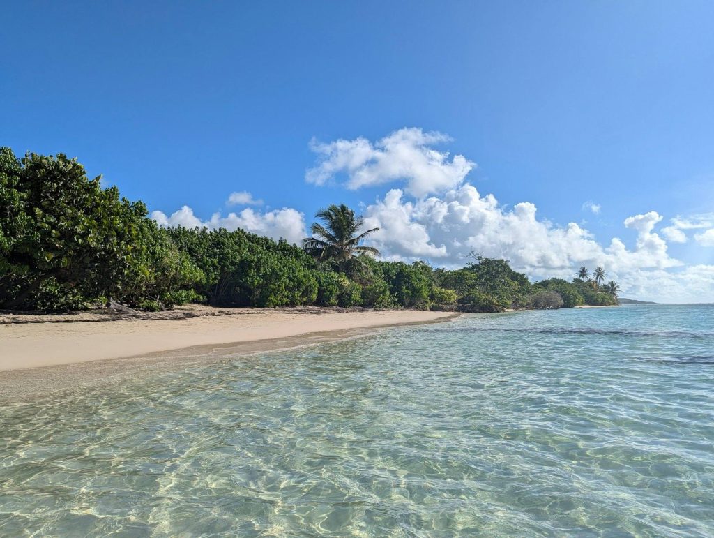 Plage aux eaux claires bordée d'arbres aux Antilles - photo d'illustration, monteur Girardin Sintorin