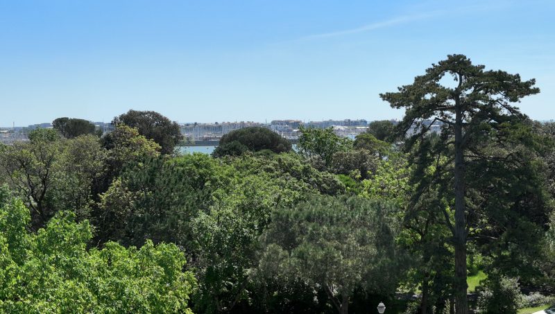 ACACIA - vue 2
