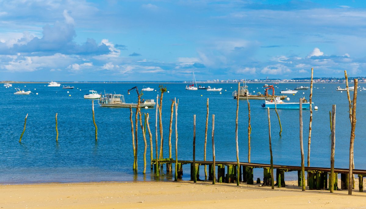 VILLA D'ETE - programme immobilier neuf Arcachon (33) - Location meublée, VIR