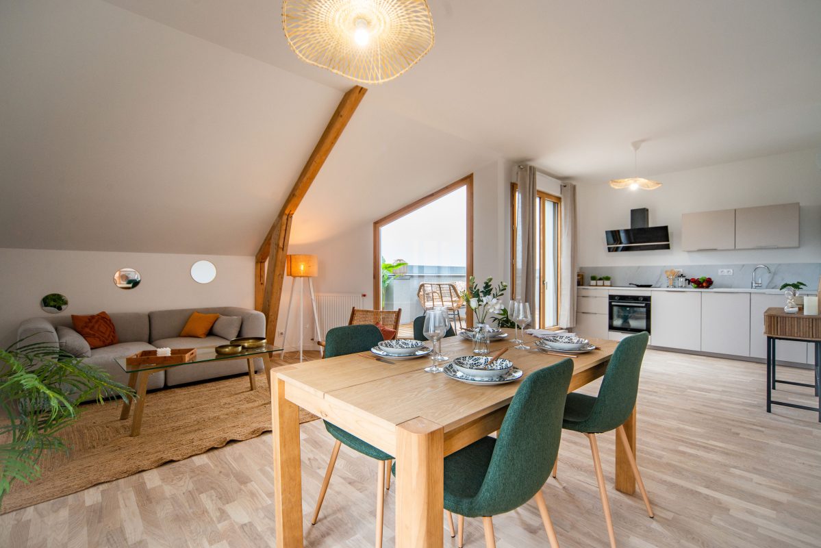 Les Dryades - programme immobilier neuf LA RICHE (37) - TVA 5.5%, LMNP, Jeanbrun
