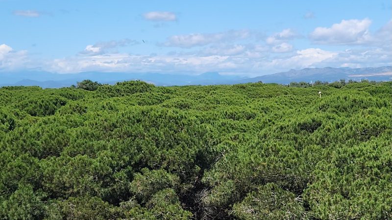 Le Bahia - vue 6