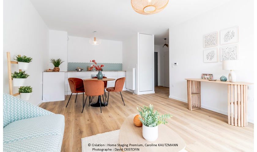 LES VILLAS DU PARC - programme immobilier neuf NANCY (54) - LLI - ANRU - TVA Nominale - TVA réduite