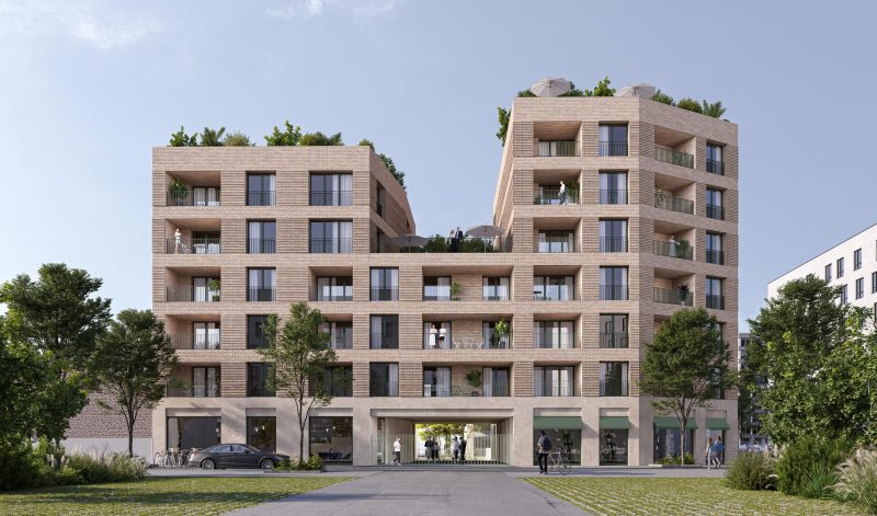 Littorelle - Lille - vue 2