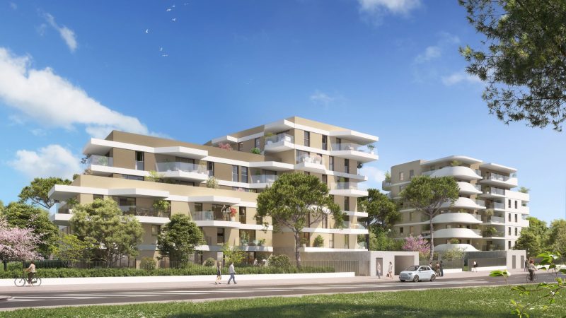 Duo Verde - vue 2