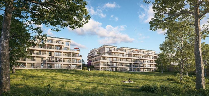 LE JARDIN DES CARMES