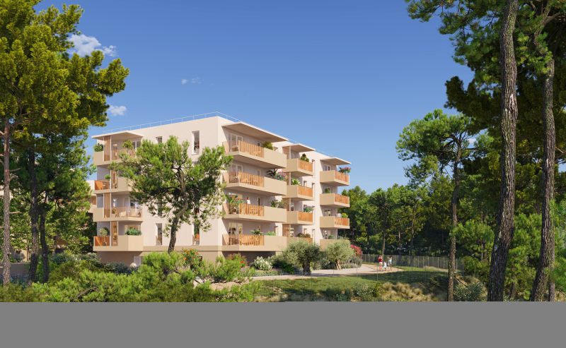 COEUR PINEDE - vue 2