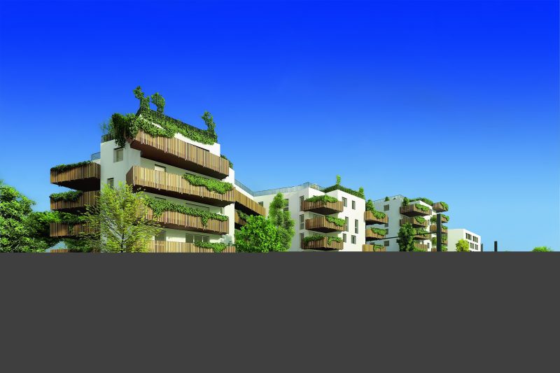 TOSHI - vue 5