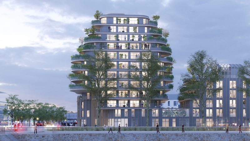 ARBORESCENCE - vue 4