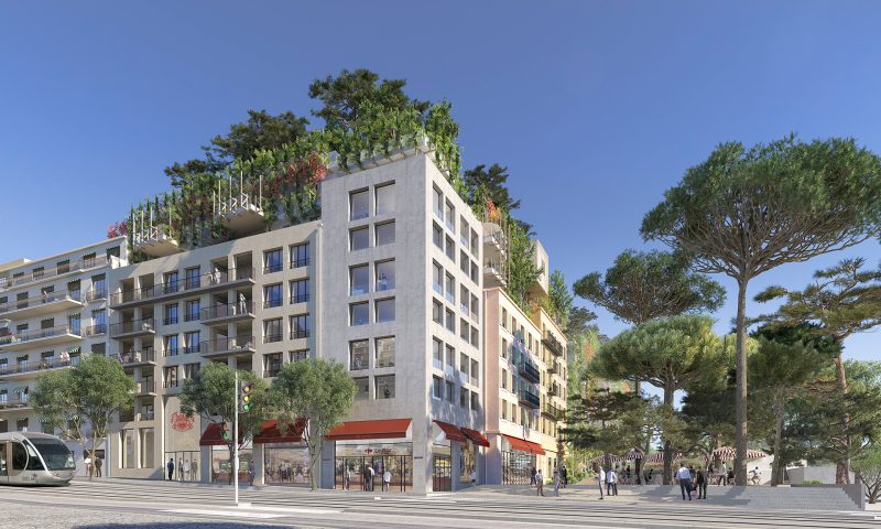 NICE LE RAY - vue 3