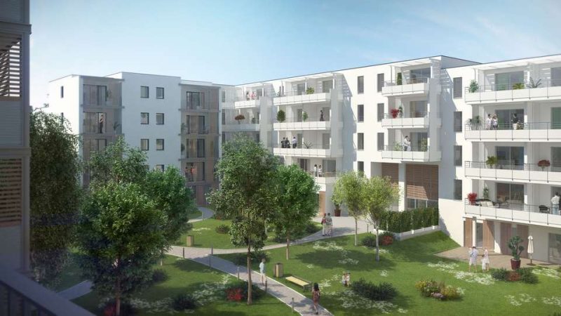 ROYANCE - vue 5