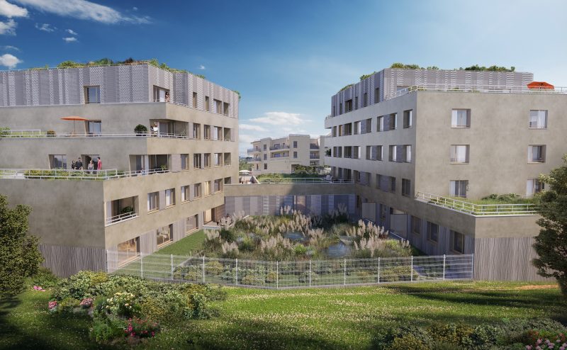 INTERIEUR PARC - vue 2