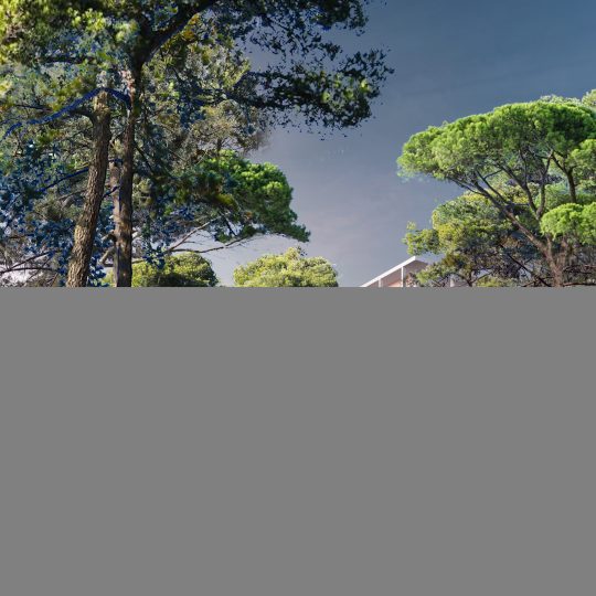 NOÈME - vue 6