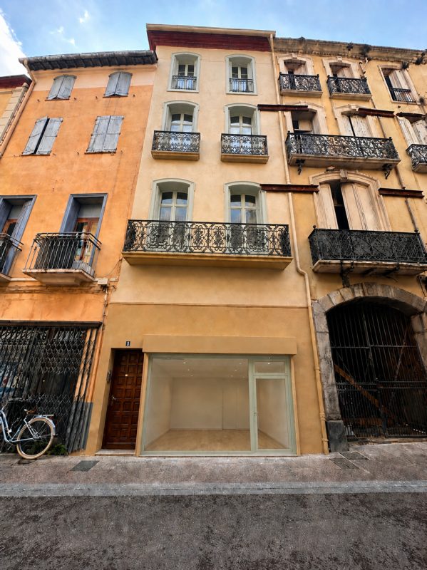8 RUE EMILE ZOLA - programme immobilier neuf Perpignan (66) - Malraux, Denormandie